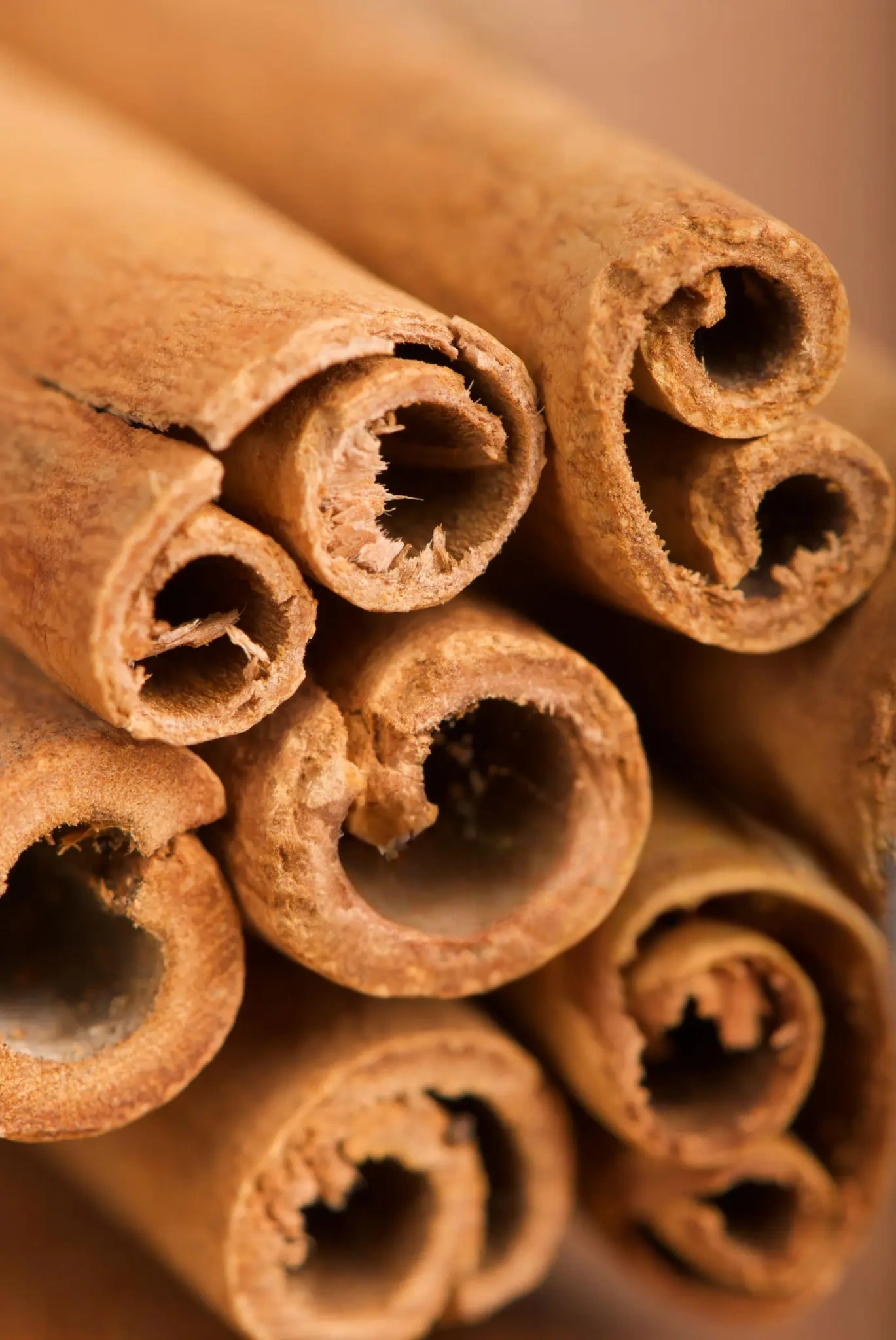 Cinnamon bark EO Organic