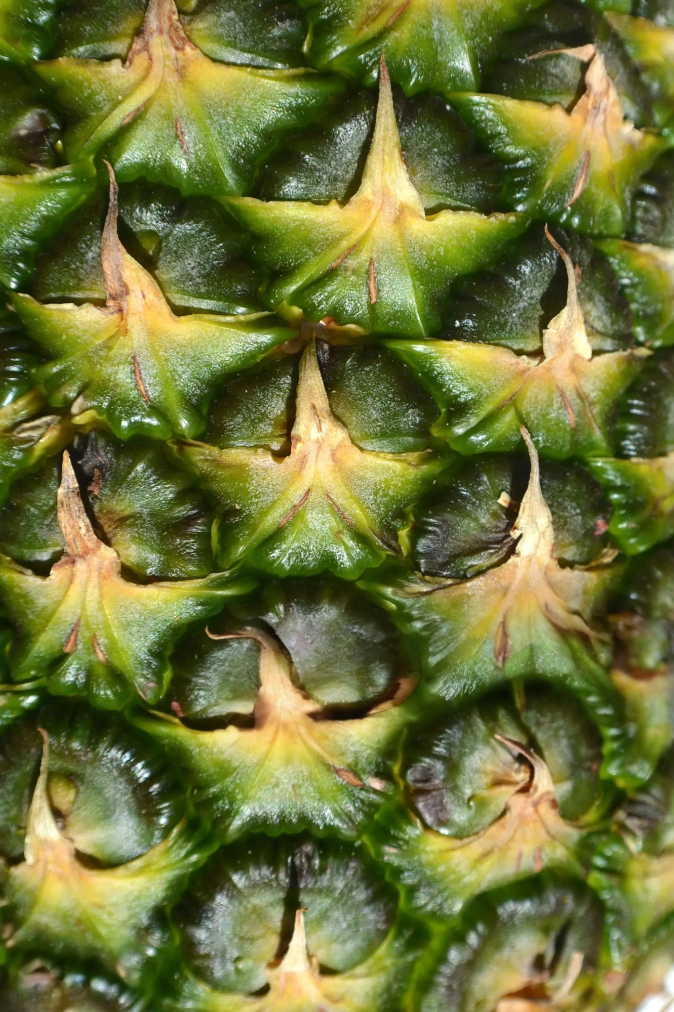 Eptanoato di allile